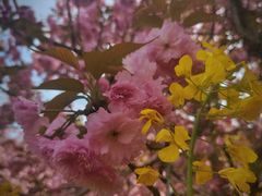 -苏州上方山国家森林公园