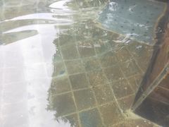 -深业半汤御泉庄温泉