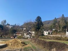 -塔川景区