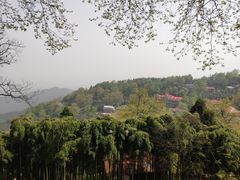 -莫干山风景区