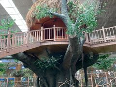 -南宫五洲植物乐园