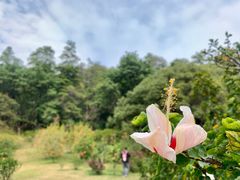 -云溪植物园