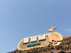 -灵玲国际马戏城