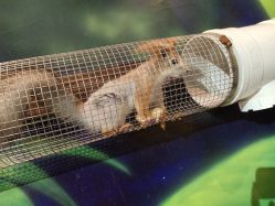 -未来动物城动物主题公园(大悦城店)