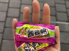 -舜华临武鸭·湖南零食特产(三王街店)