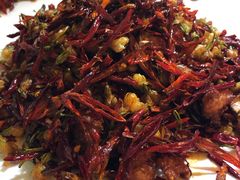 -院8里·少城记忆老川菜(宽窄巷子店)