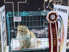 -重庆国际会议展览中心