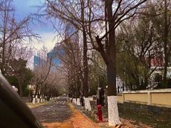 -八大关景区