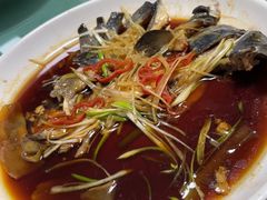 -煲来饱去冷水鱼