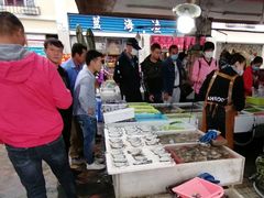 -大湾区中央湿地公园-十九涌
