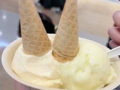 -极拉图·现制冰淇淋(大卫城店)