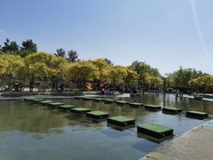 -杨柳青庄园