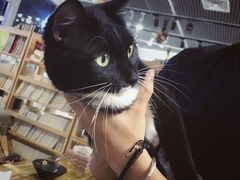 景观位-小时光咖啡馆(开森度假森林店)