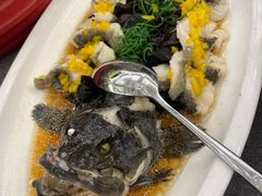 广式蒸老虎斑-海景壹号大酒店(滨湖店)