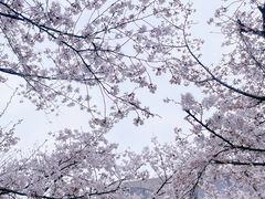 -龙美术馆(西岸馆)