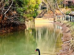 -宝岩生态观光园