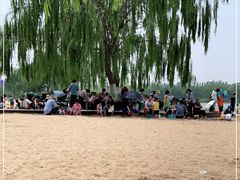 -大兴滨河森林公园