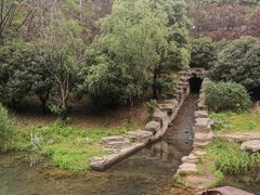 -桃花岭景区
