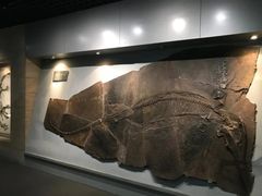 -阿妮亚少儿美术书法(望京店)