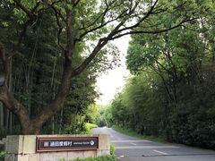 -天目湖涵田度假村