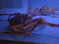 -阿伟海鲜楼·福建菜(延寿店)