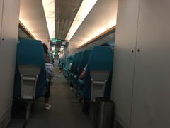 -龙阳路磁悬浮列车总站-停车场