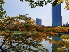 -艾溪湖湿地公园