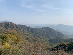 -大岭沟猕猴桃谷风景区