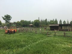 -田园东方蜜桃村的田野营地