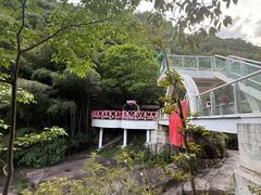 -黄山翡翠谷景区