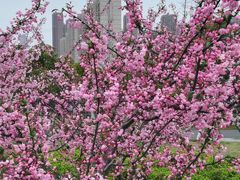 -白塘生态植物园