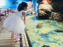 -邯郸海洋世界