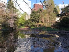 -北海道厅旧本厅舍(旧本庁舎)