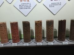 -贵州省地质博物馆