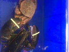 -蟹之国·精品蟹料理(极地店)