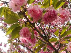 -陶祖圣境风景区