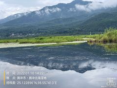 -腾冲北海湿地