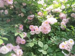 -安徽工业大学(秀山校区)