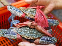 -巽寮印象美食部落餐厅·海鲜·地方特色菜(惠州体验店)