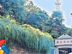 -上海佘山国家森林公园西佘山园