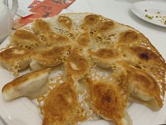 猪肉白菜锅贴-双井轩(双井店)