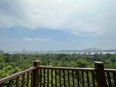-张坝桂圆林公园