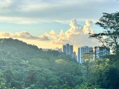 -阳台山森林公园