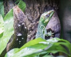 -酷嗒动物文化乐园(cutezoo西溪乐天城店)