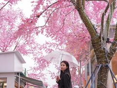 -首开·龙湖成都西宸天街