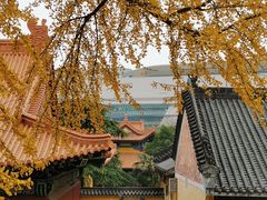 -宝通禅寺