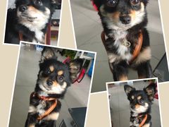 -蜜雪冰城(建设路店)