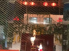 -哈尔滨北方森林动物园