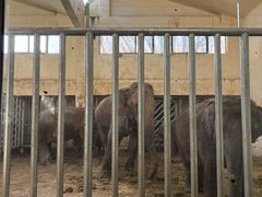 -石家庄市动物园