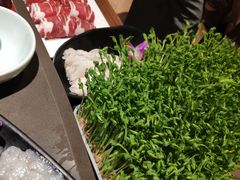 -捞王锅物料理(上海世茂广场店)